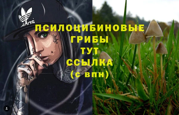 твердый Каменск-Шахтинский