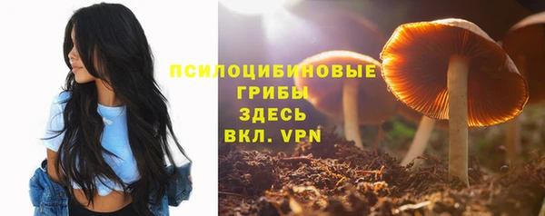 гашиш Каменка