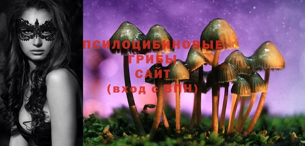 твердый Каменск-Шахтинский